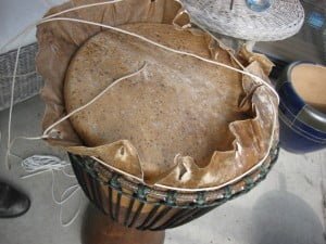 Koordje onder het vel van de djembe
