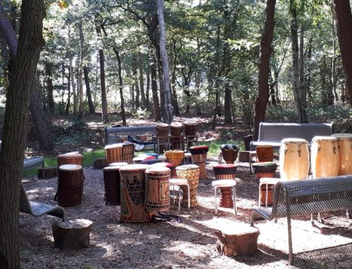 Teambuilding en Percussie